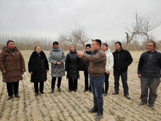 民丰县：积极开展小麦种植技术培训(图2)