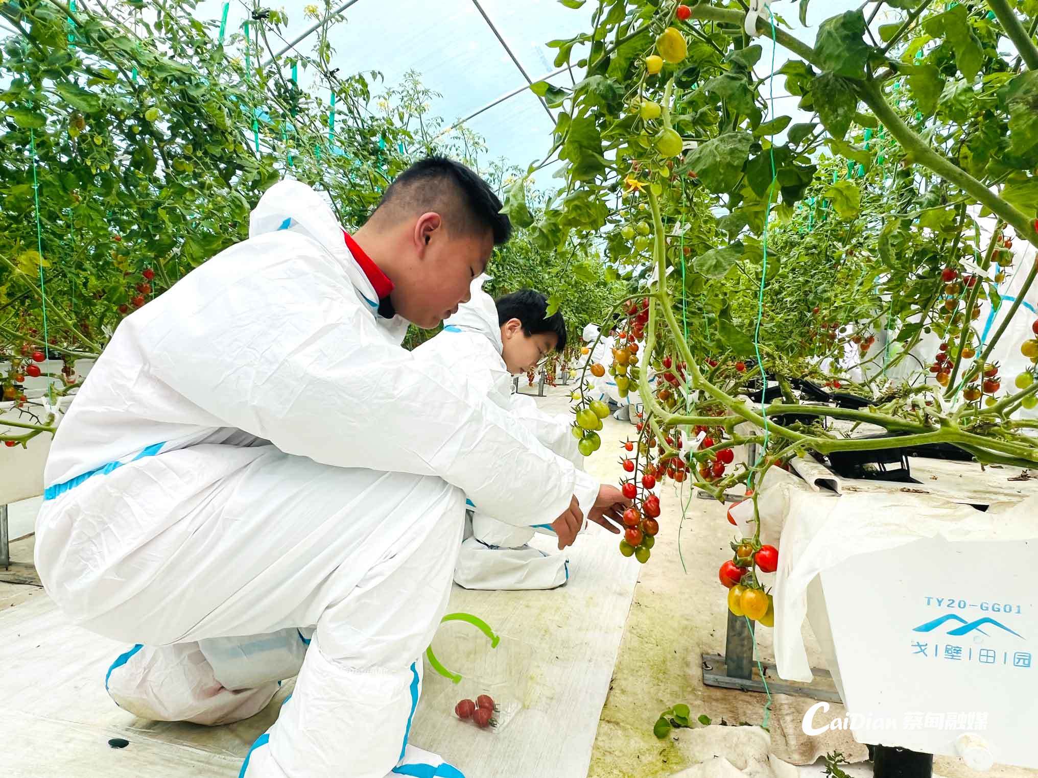 蔡甸张湾农业科技生态园开启科普研学活动(图1)