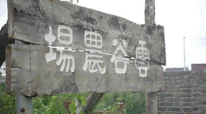 学生新闻采写云谷农场：生态农业的十年实践(图1)