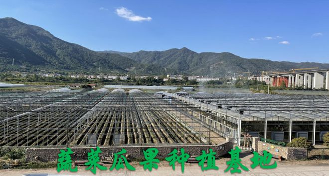 仙居县限上零售业展播台州瑞欣生态农业发展有限公司(图2)