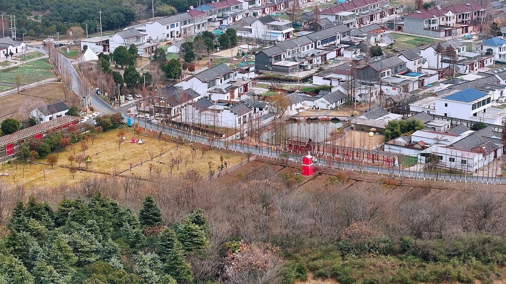 【村有喜事】扬州生态科技新城华丰村：都市有丰林林里喜迎春(图3)