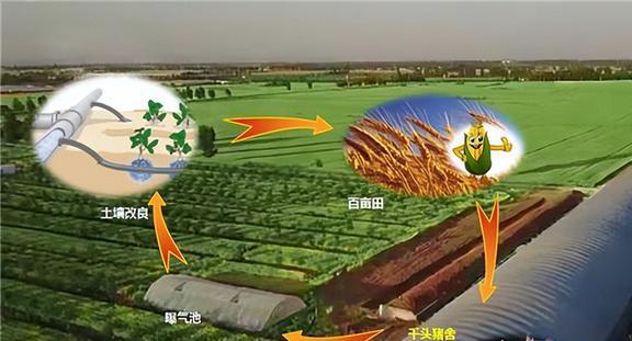 农业生态系统健康评估与管理(图10)
