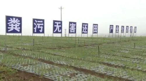 一文读懂！国内外生态循环农业模式研究谁最强？(图3)