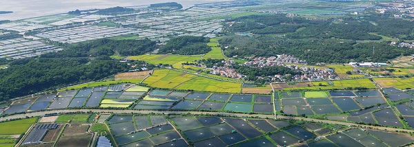 湖北农之发生态农业发展有限公司以新质生产力驱动农业高质量发展(图1)