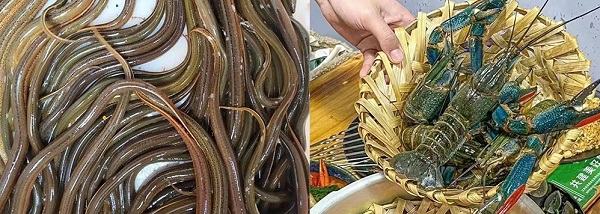 湖北农之发生态农业发展有限公司以新质生产力驱动农业高质量发展(图2)