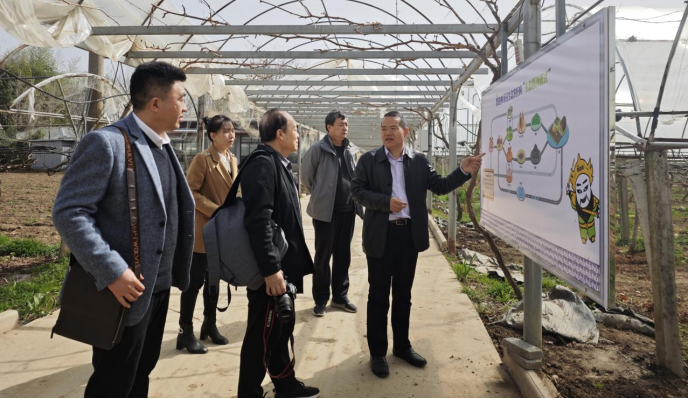 陕西省农业绿色低碳产业技术体系专家指导企业发展绿色低碳生态农业模式(图1)