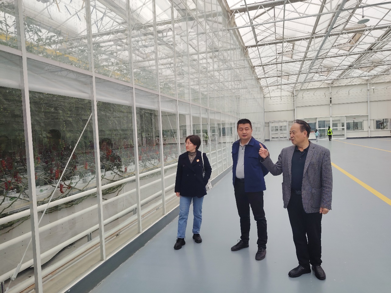陕西省农业绿色低碳产业技术体系专家指导杨凌智慧农业示范园生态有机肥项目(图2)
