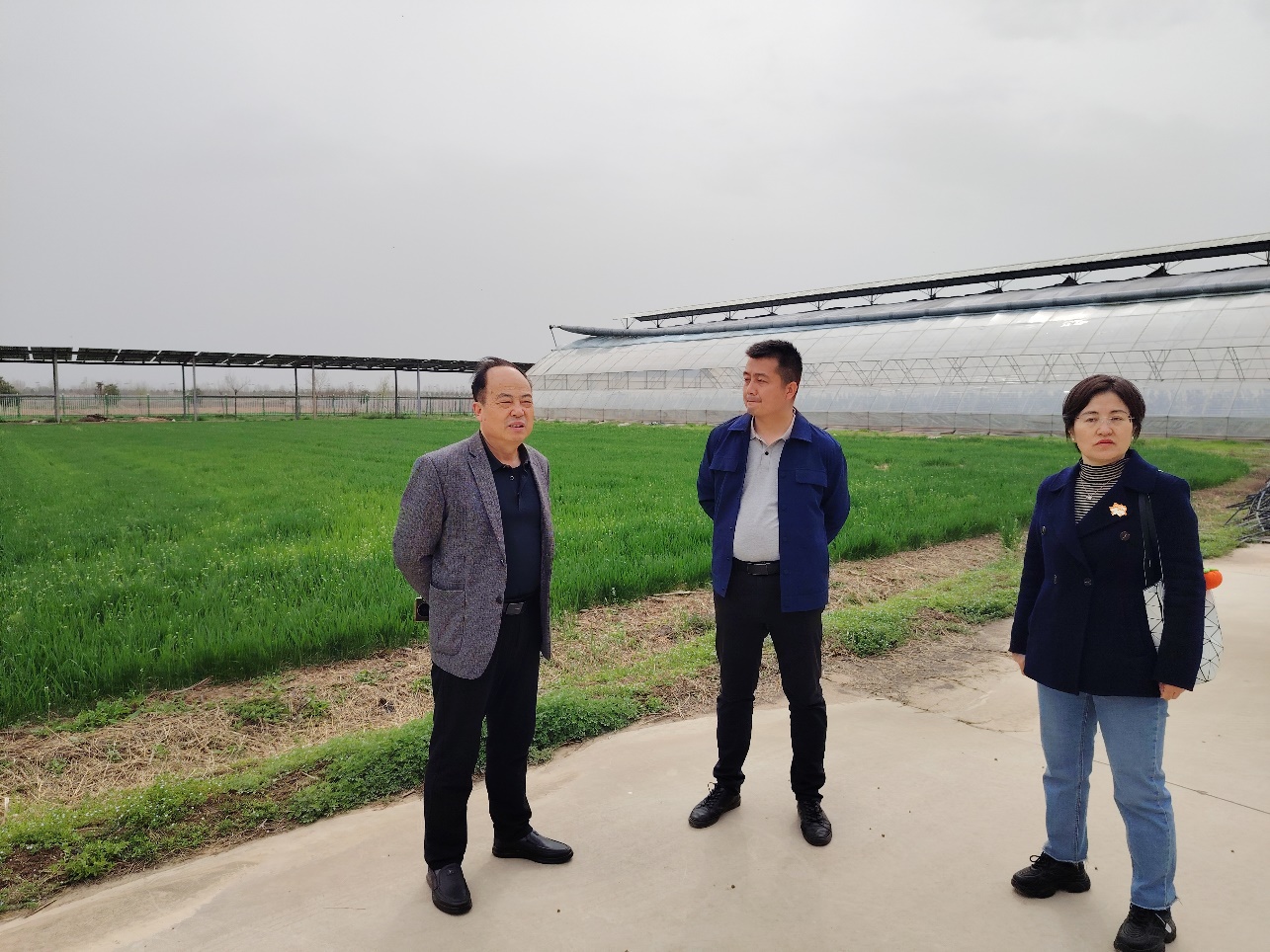 陕西省农业绿色低碳产业技术体系专家指导杨凌智慧农业示范园生态有机肥项目(图4)