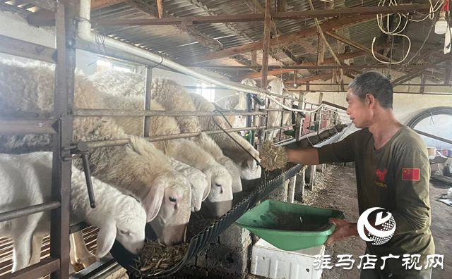 驿城区蚁蜂镇红云家庭农场：发展生态农业走上致富之路(图2)