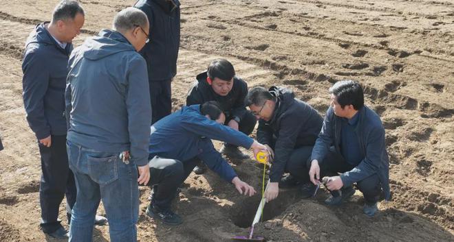 卓尼县举行道地药材党参生态种植基地开播仪式(图2)