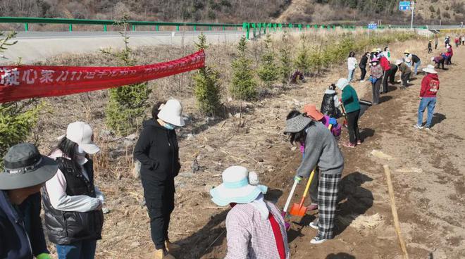 卓尼县举行道地药材党参生态种植基地开播仪式(图3)