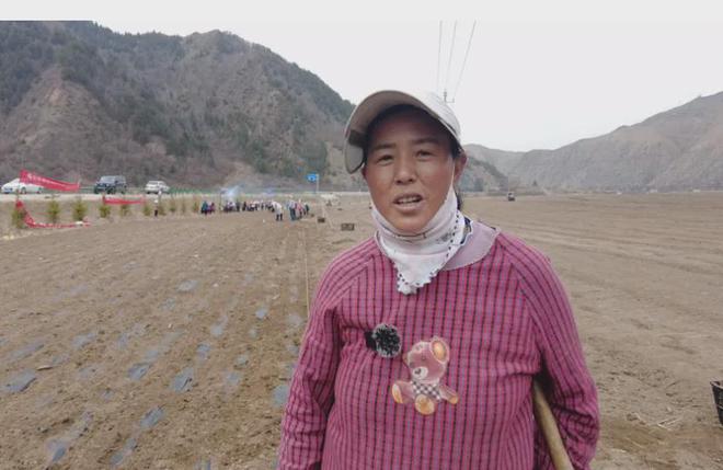 卓尼县举行道地药材党参生态种植基地开播仪式(图6)