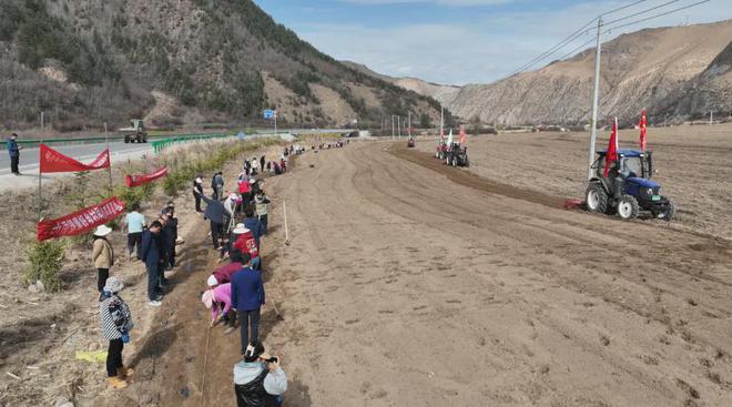 卓尼县举行道地药材党参生态种植基地开播仪式(图5)