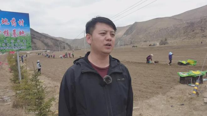 卓尼县举行道地药材党参生态种植基地开播仪式(图8)