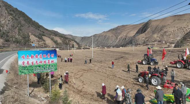 卓尼县举行道地药材党参生态种植基地开播仪式(图10)
