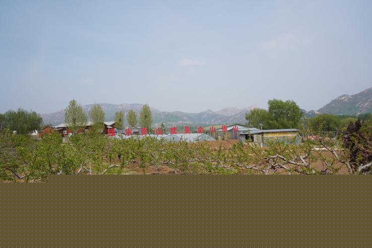 逛庙会看产业丨吴村镇福田生态农业园探索农文旅发展新模式争做实践教育基地“领头雁”(图1)