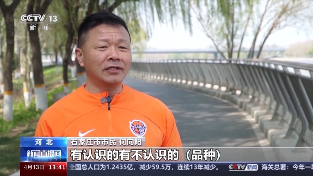 从荒凉河滩到碧水蓝天看滹沱河生态蝶变→(图4)
