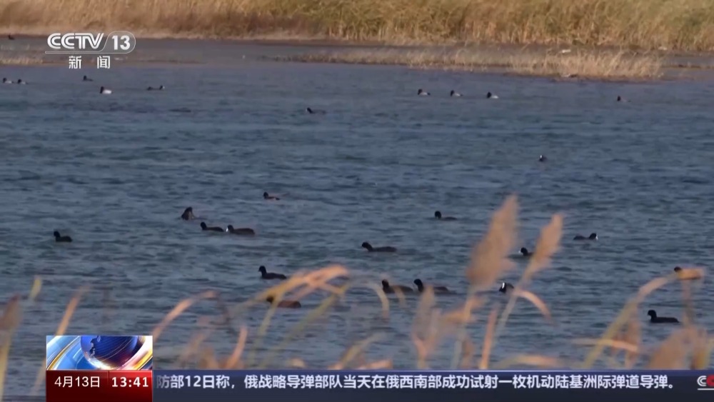 从荒凉河滩到碧水蓝天看滹沱河生态蝶变→(图3)