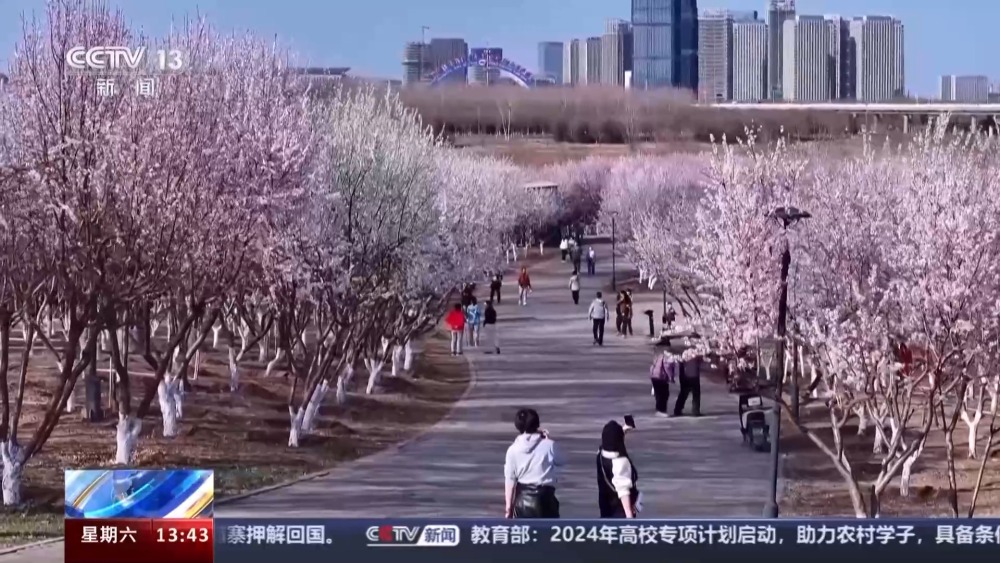 从荒凉河滩到碧水蓝天看滹沱河生态蝶变→(图7)