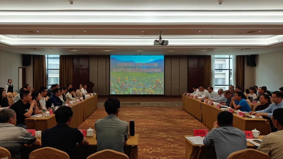 云南南涧：科技“吹”开滇红花专家助力新产业_新华网(图3)