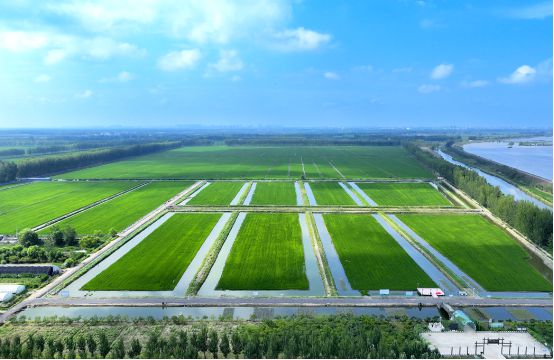 盘锦绕阳农业：唱响农文旅主旋律助力乡村振兴(图2)