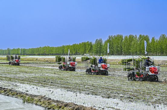 盘锦绕阳农业：唱响农文旅主旋律助力乡村振兴(图3)