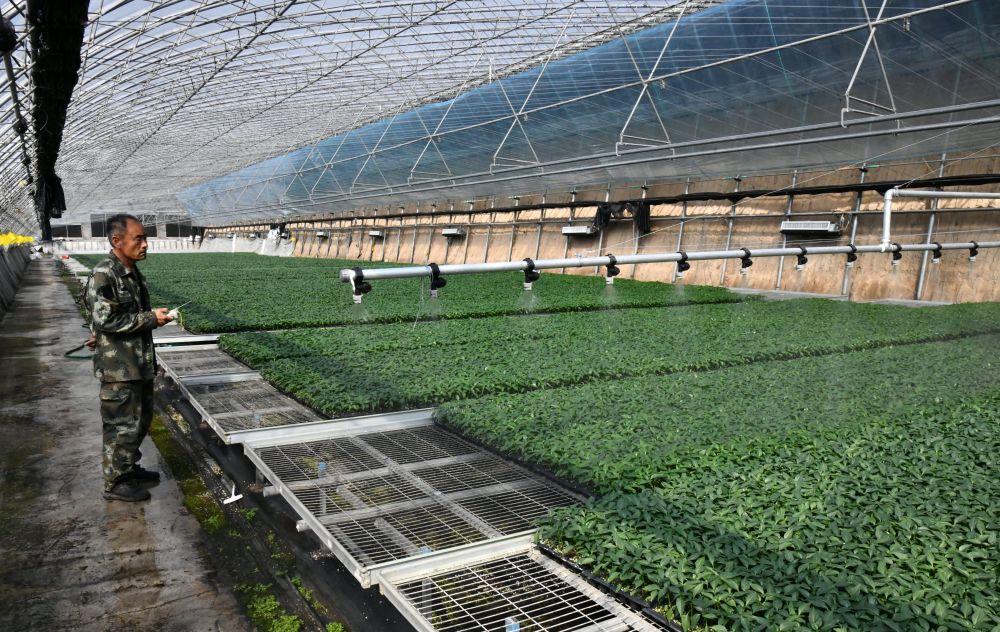 新体系新布局新力量——农业大省山东的大农业观实践(图13)
