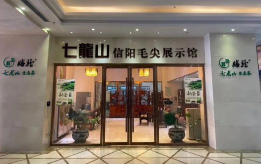 河南信阳七龙山农业力促原生态信阳毛尖“老旱茶”精品化保护与推广(图2)