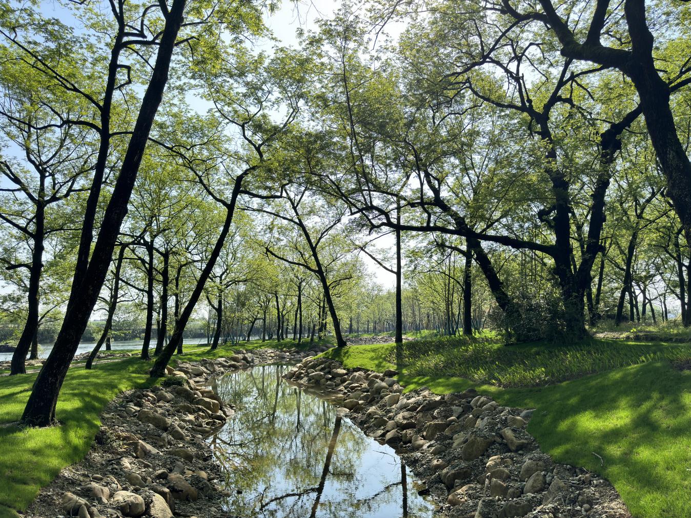 徽州区：建设“生态廊道”构建绿色发展新格局(图1)