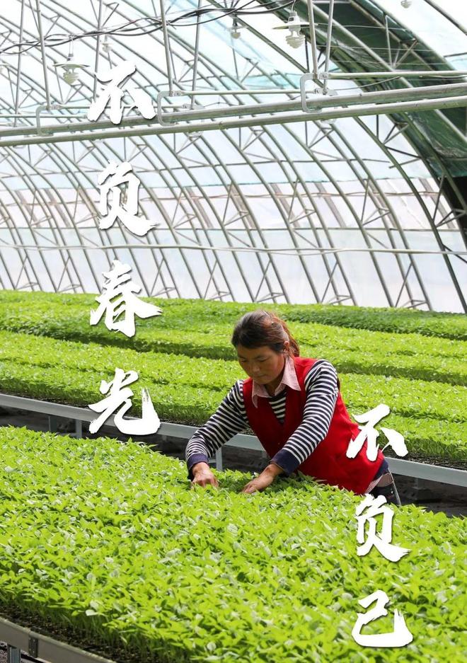 【甘快看】强信心看发展丨追着春光赶农时——我市有力有序推进春耕备耕及一季度农业农村工作(图2)