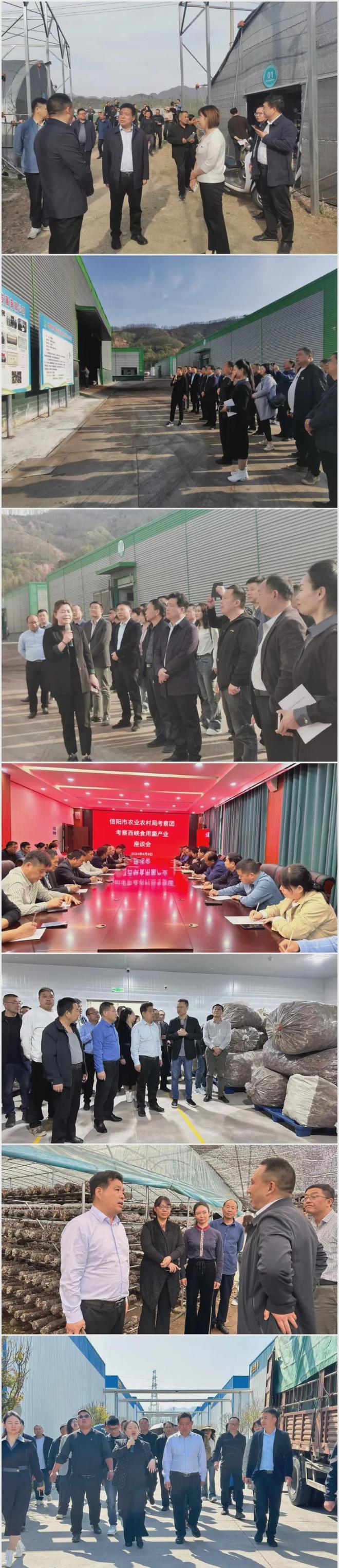 信阳市农业农村局组织市食用菌协会到三门峡、南阳考察学习食用菌产业发展(图1)