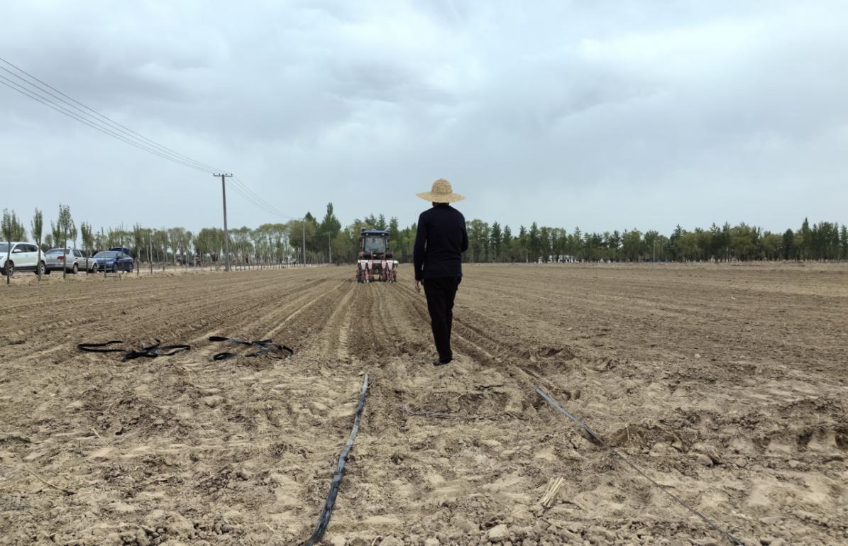 希望的田野奋进的力量陕西榆林农业高质量发展巡礼(图3)