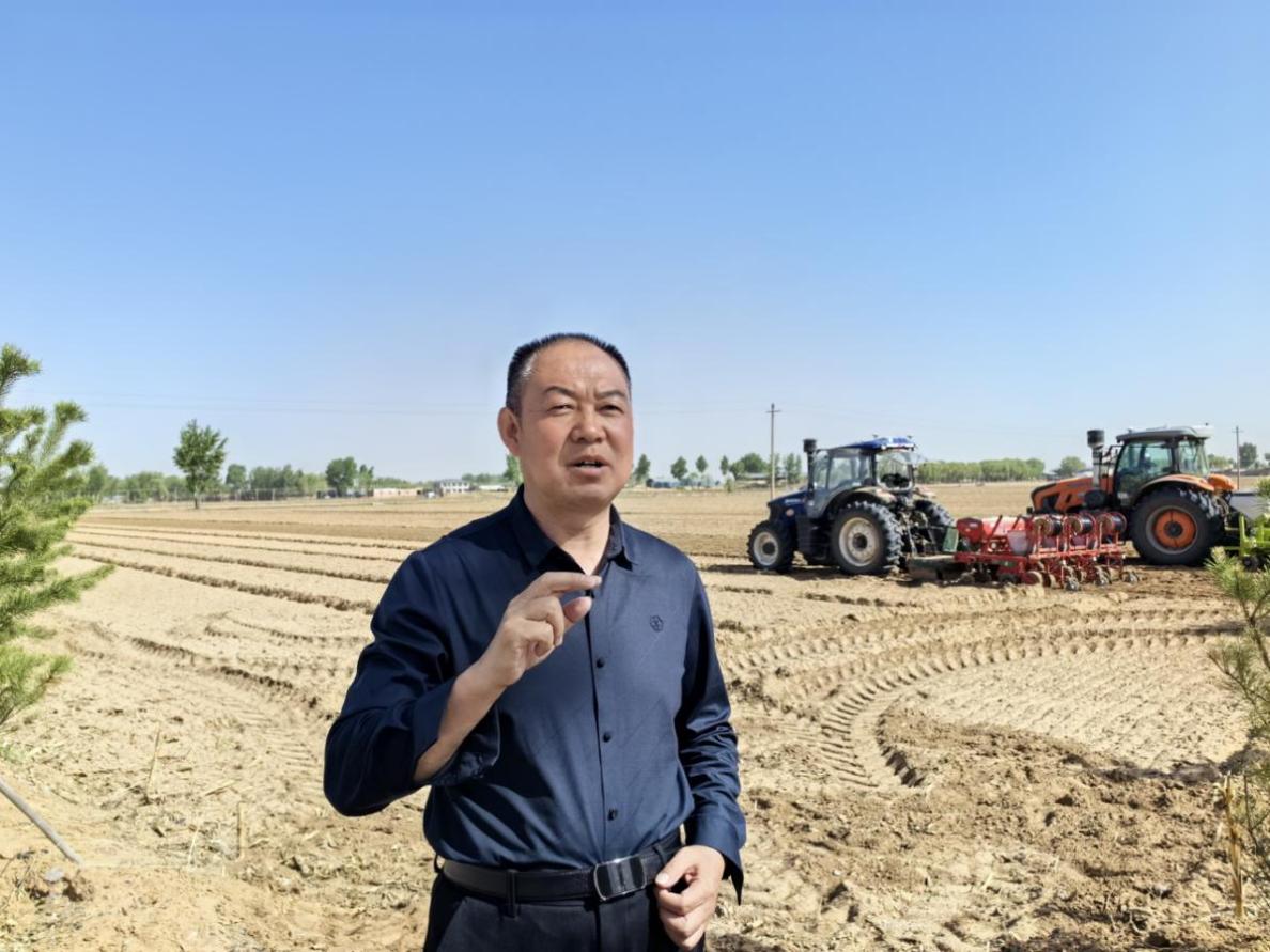 希望的田野奋进的力量陕西榆林农业高质量发展巡礼(图2)