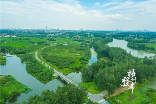 扬州运河乡村实现绿色转型看一个国家森林村“生态账本”(图1)