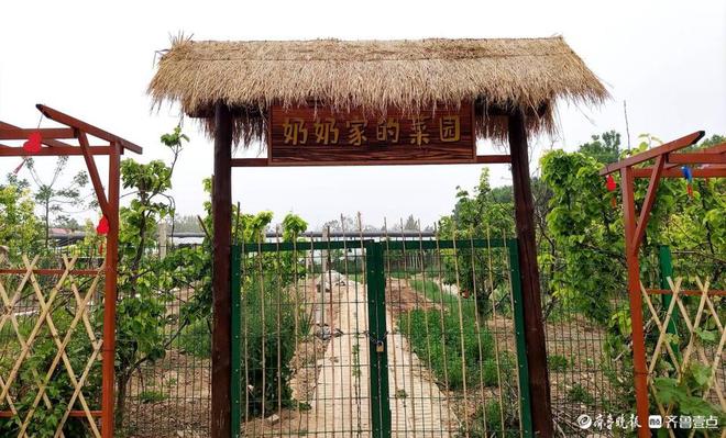 向阳花开研学基地：15万㎡生态农庄乡村民俗旅游独具魅力(图3)