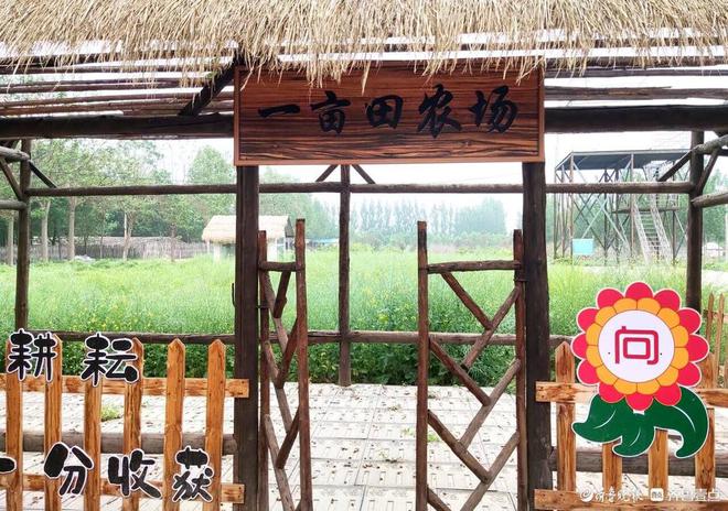 向阳花开研学基地：15万㎡生态农庄乡村民俗旅游独具魅力(图4)