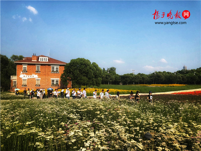 【美丽中国长江行】夹江实现全面封航科技岛上绿色建筑全覆盖(图1)