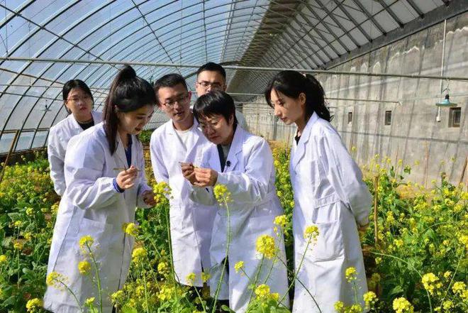 为国家安全育种为农业科研育才——专访第十九届中国青年女科学家奖获得者段巧红(图3)