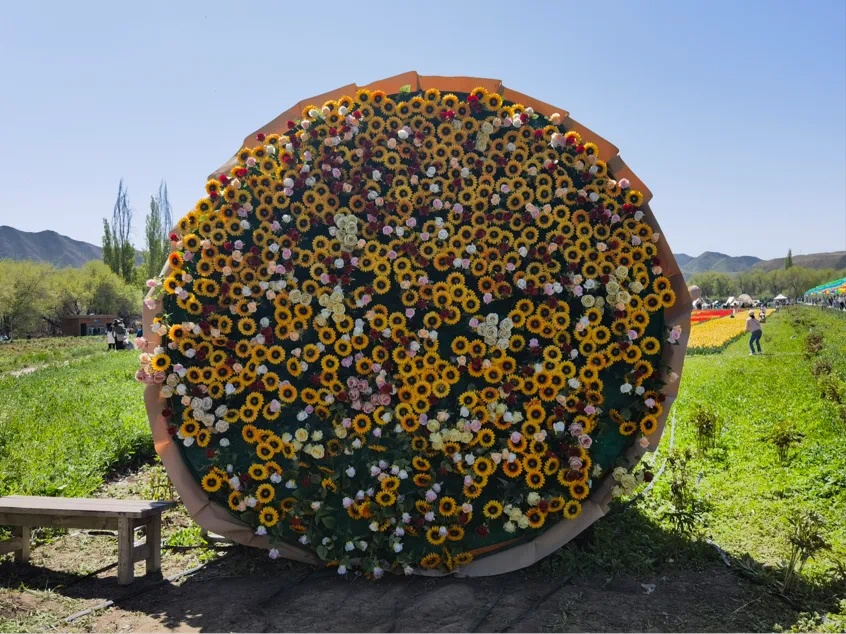 水磨沟区：红湾生态农场山花季浪漫盛宴畅享假期(图4)