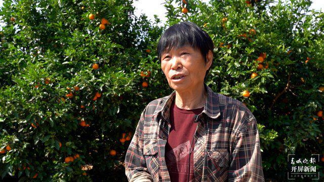 美好生活在云南｜大理宾川：环保酵素种出生态水果(图2)
