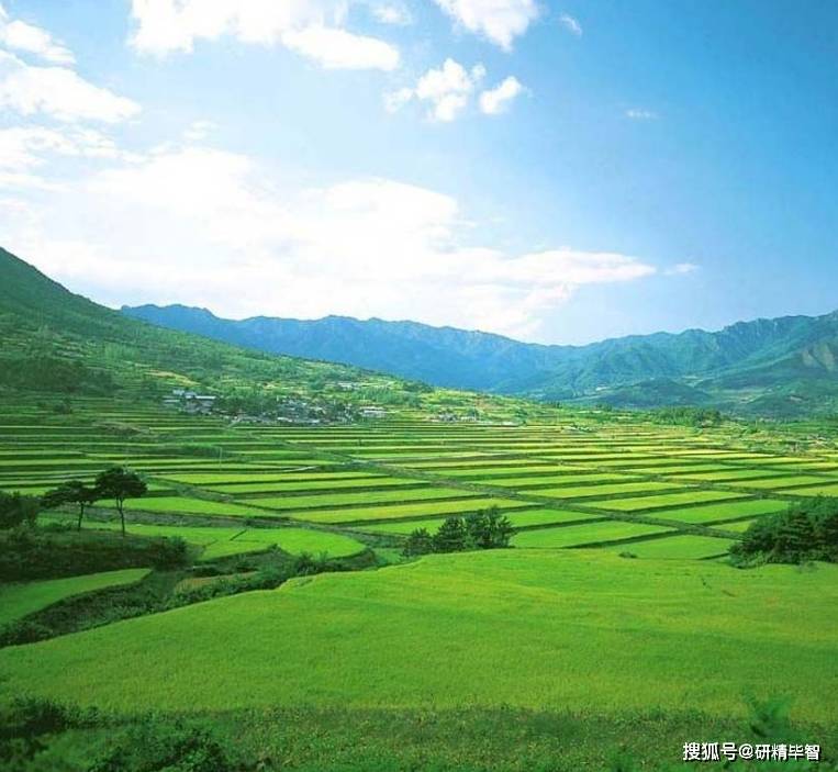 2023年全球及中国生态农业行业发展现状及前景分析(图1)