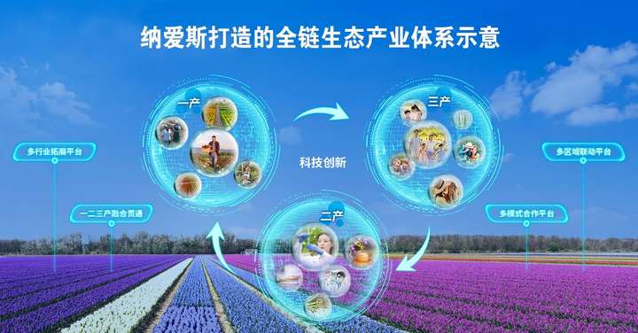 生态科技创新引领高质量发展——纳爱斯入选《中国品牌十年路》发展报告优秀品牌案例(图6)