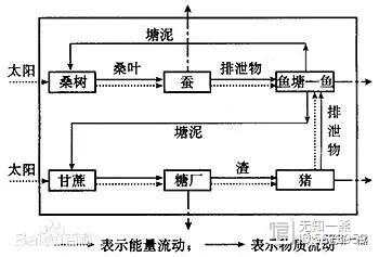 乡村振兴优化农村生产的生态链(图1)