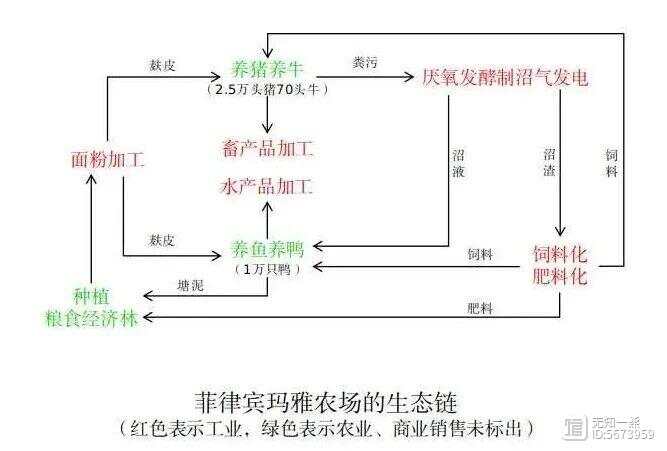 乡村振兴优化农村生产的生态链(图2)
