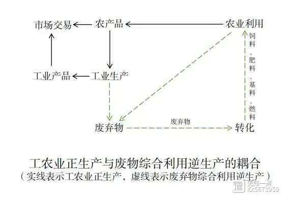 乡村振兴优化农村生产的生态链(图3)