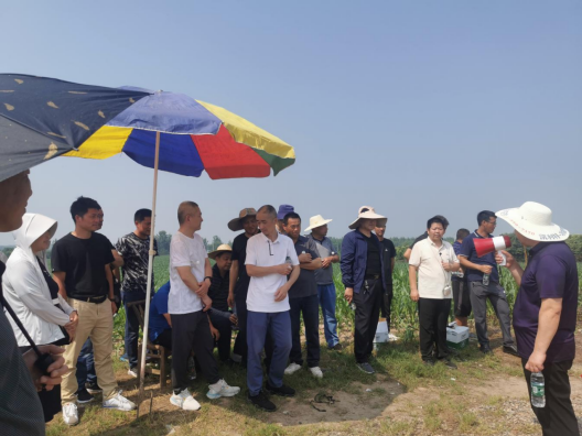 变废为宝传统农业向绿色生态循环农业发展模式转变(图1)