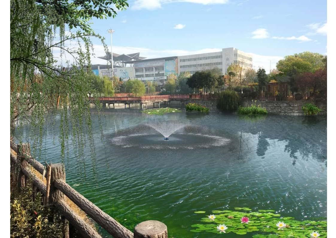 从“环境保护”到“生态建设”——东华科技谱写绿色发展新篇章(图10)