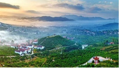 蒙阴县：打造生态循环立体农业(图2)
