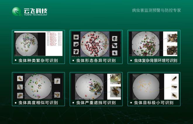 智能虫情测报灯与AI视觉技术：构建智慧农业生态体系(图3)