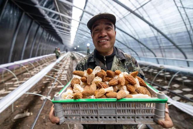 【产业加林】立足生态优势推进强企富民——加格达奇林业局林下产业蓬勃发展(图3)